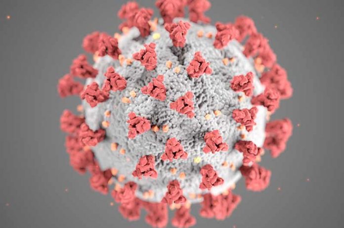 SARS-CoV-2 y la replicación viral, debes saber esto