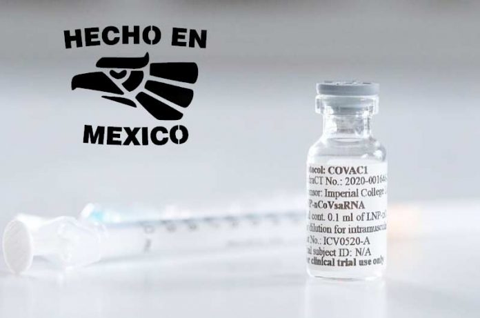 Así se llamará la posible vacuna anticovid de México