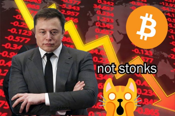Elon Musk causa bajada en el valor de Bitcoin.