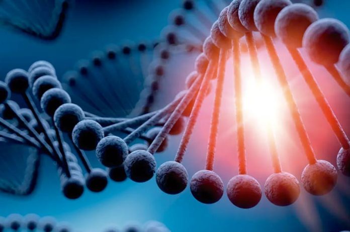 Nace en el Reino Unido el primer bebé con ADN de tres personas