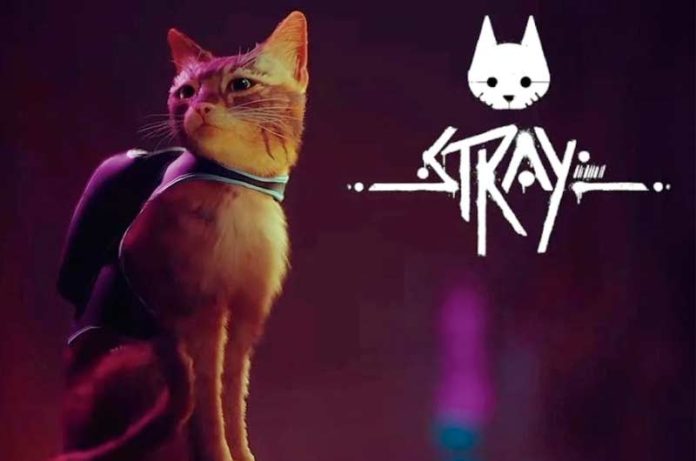 Stray Podría Llegar A Consolas Xbox Tras Su Éxito En PlayStation Y PC